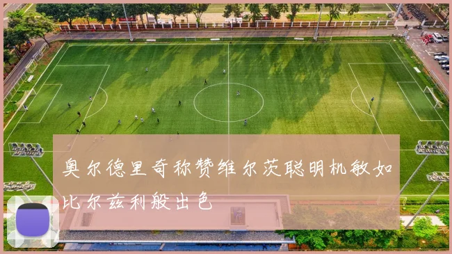 奥尔德里奇称赞维尔茨聪明机敏如比尔兹利般出色