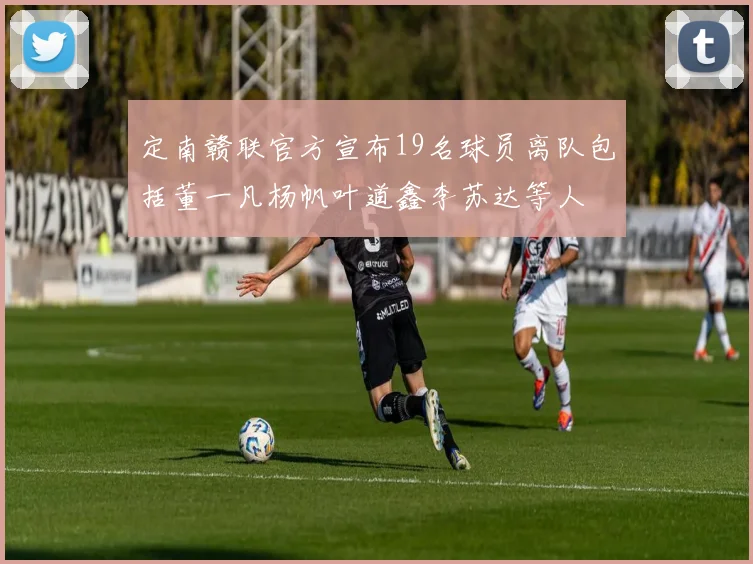 定南赣联官方宣布19名球员离队包括董一凡杨帆叶道鑫李苏达等人