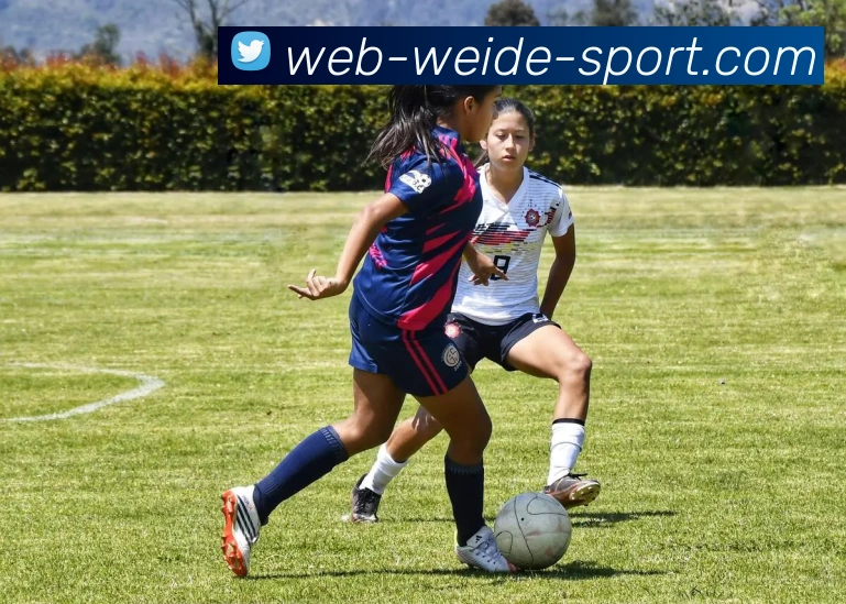 伟德体育平台生态图