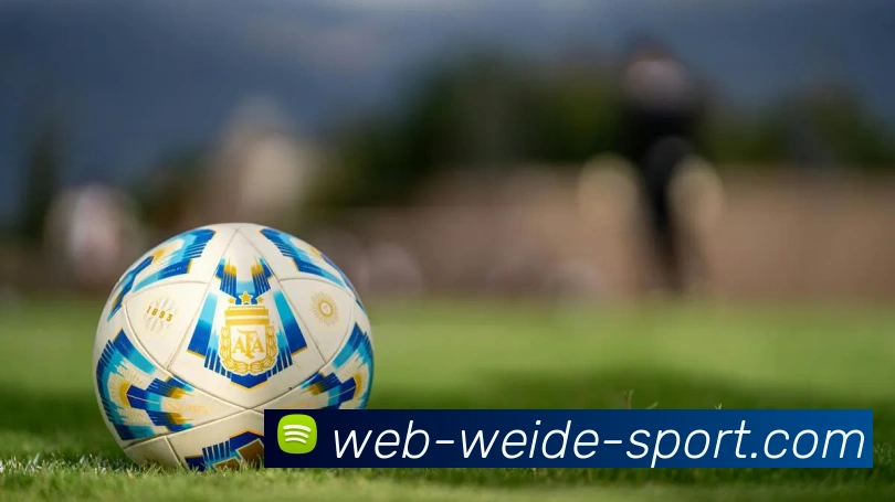 App 展示图