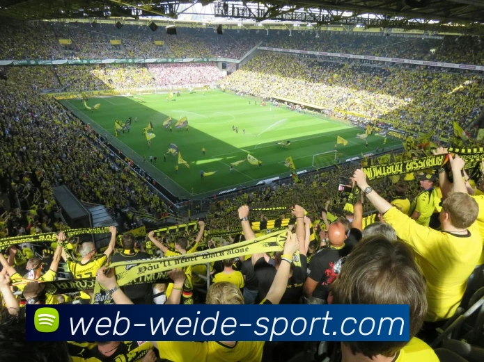 伟德体育APP 封面图